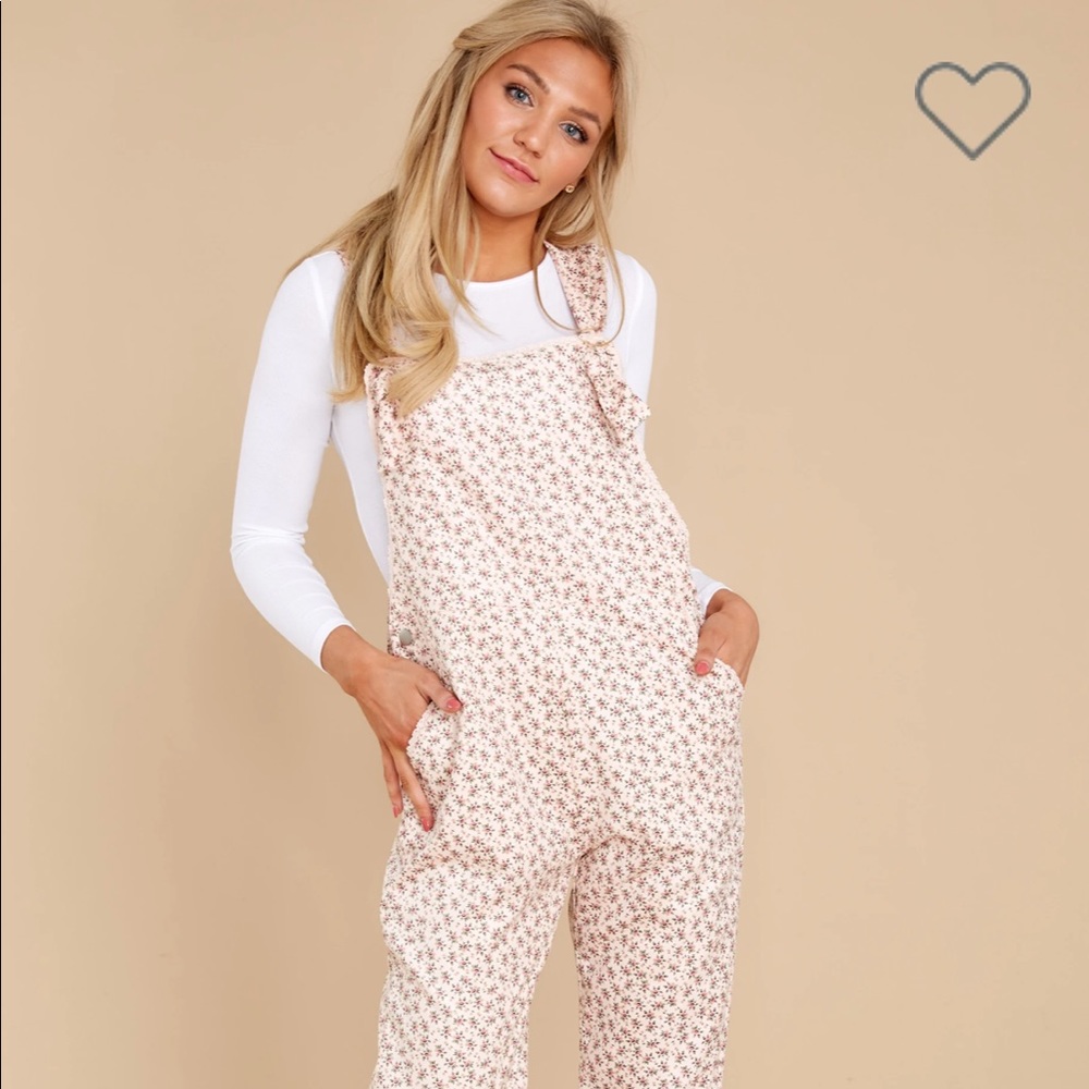 NWT Red Dress Morning Daisy Pink Floral Overalls